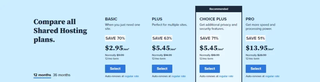 Bluehost Hosting Pricing